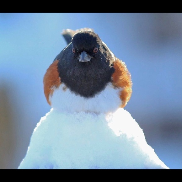 Meet your Posher, Sandi - Picture 5 of 16